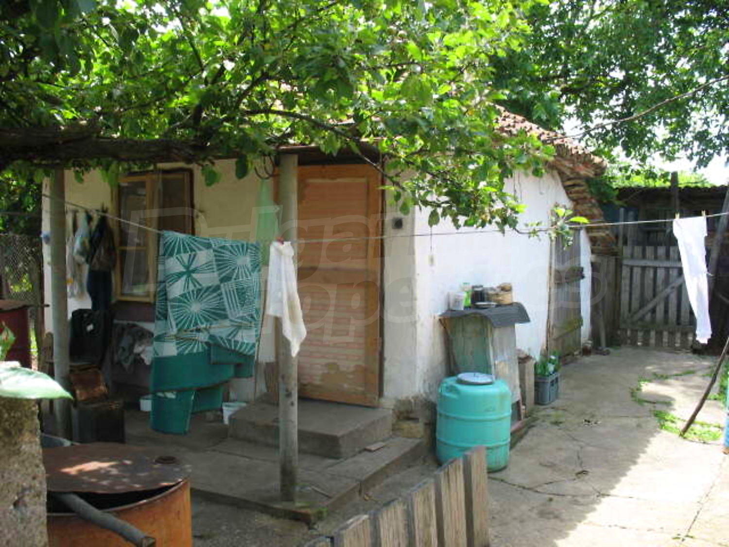 Gallery Picture 9