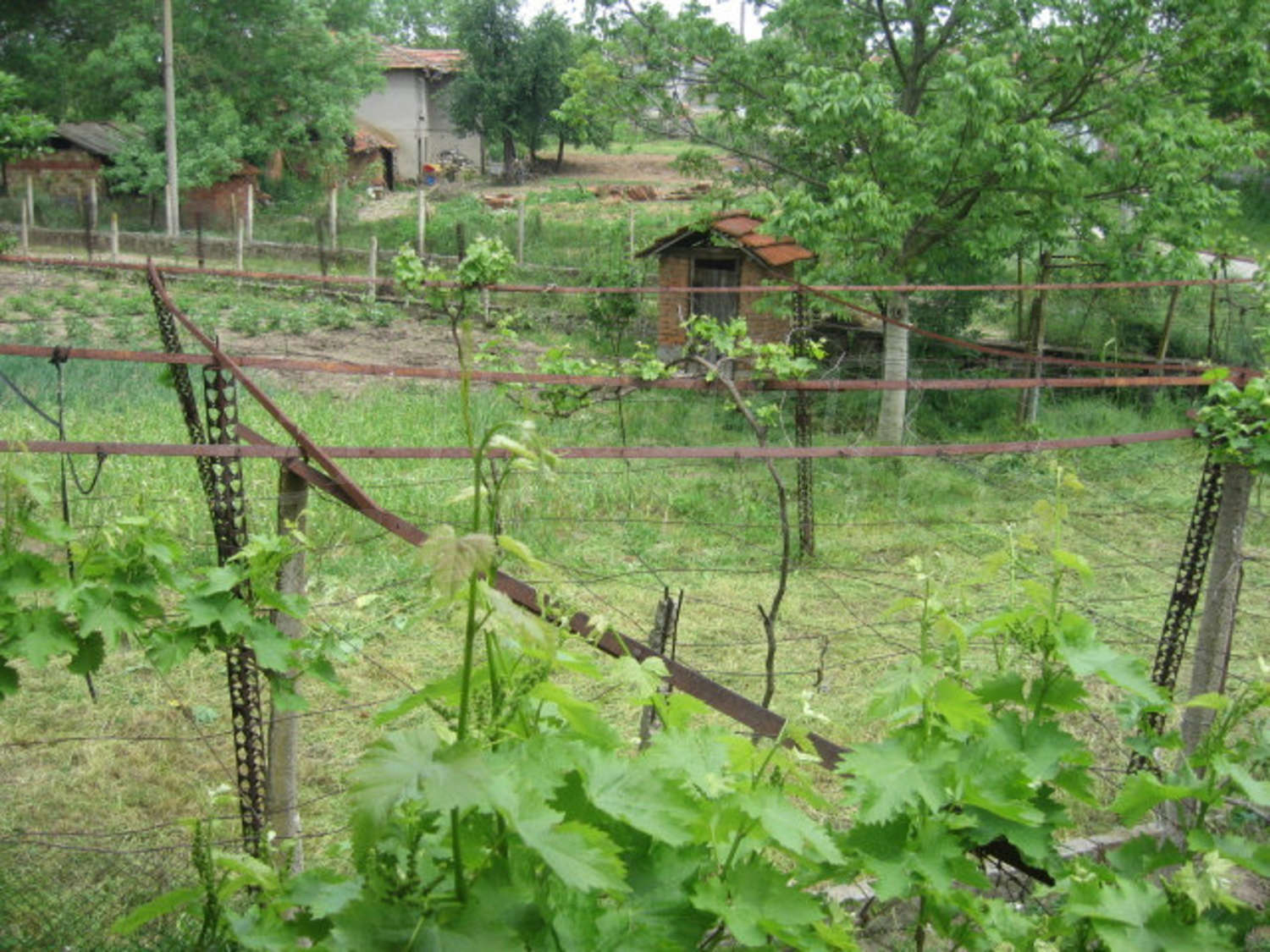 Gallery Picture 13