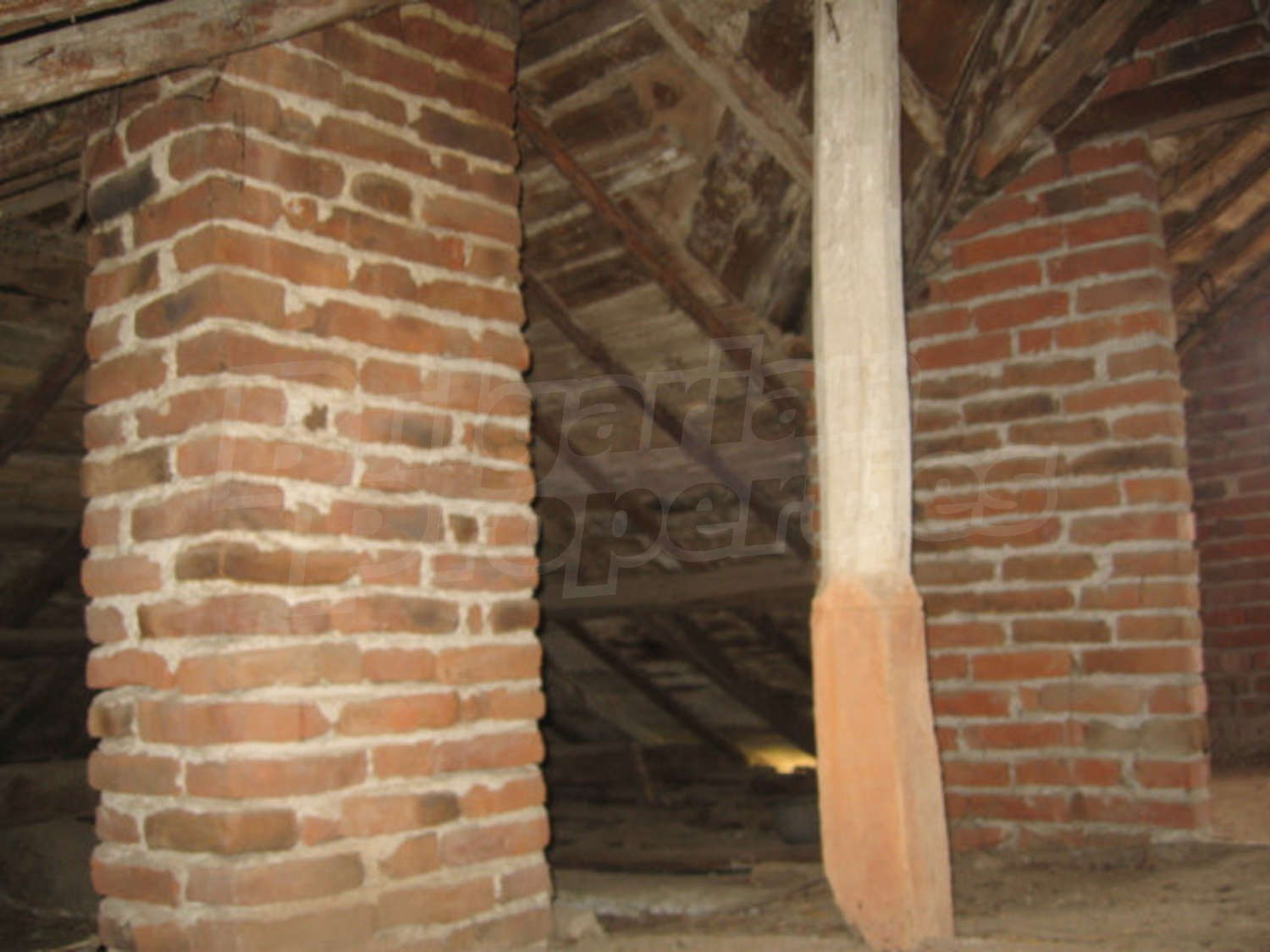 Gallery Picture 39