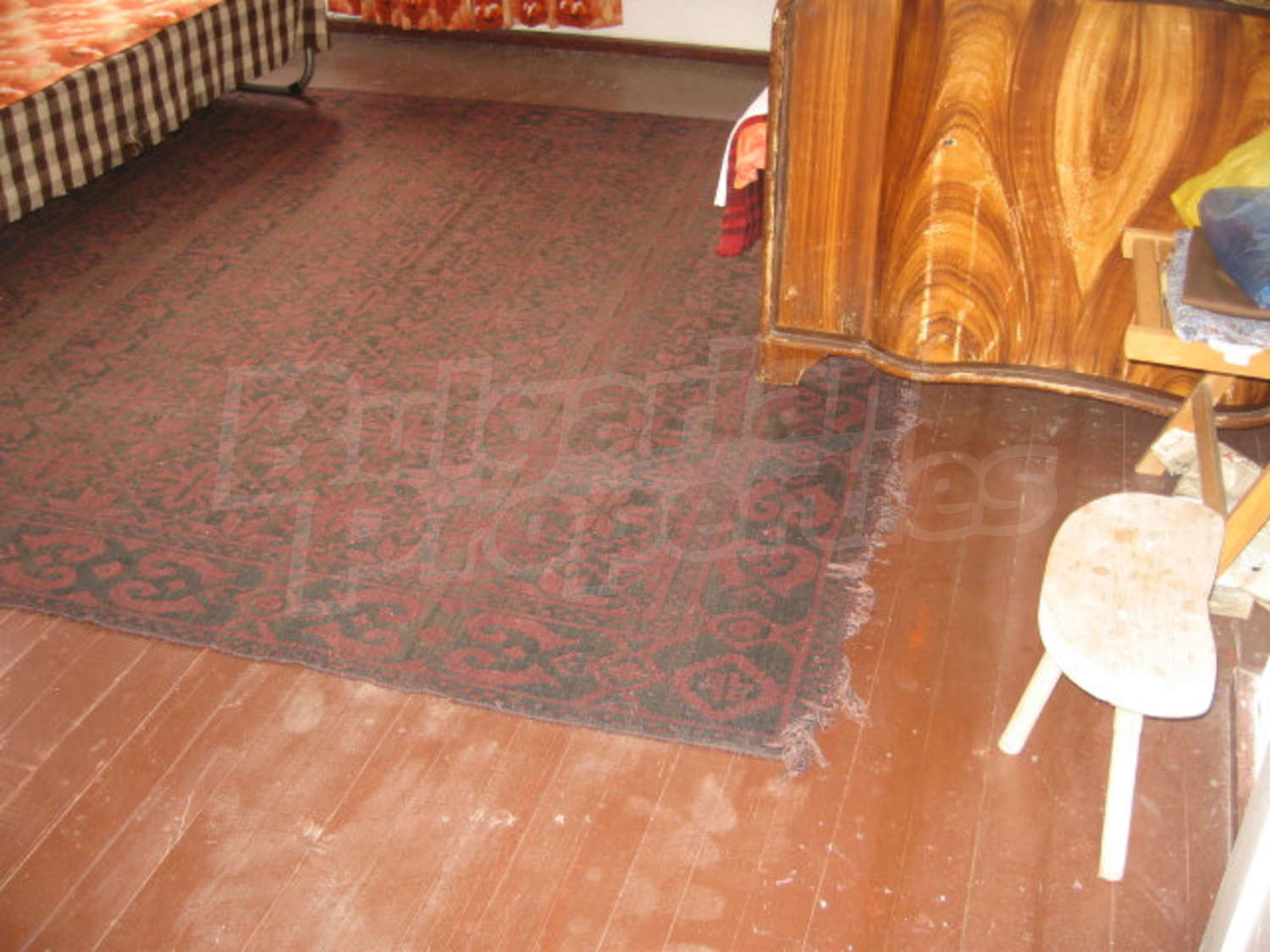 Gallery Picture 46