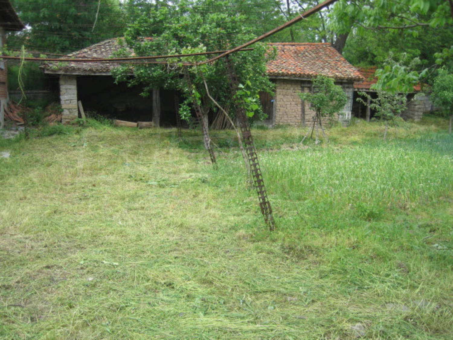 Gallery Picture 9