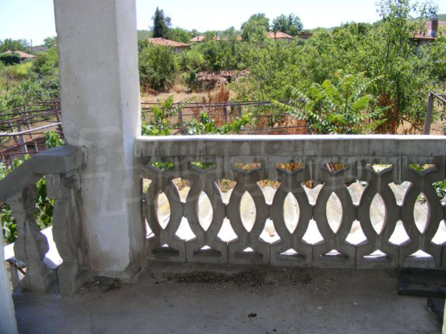 Gallery Picture 16
