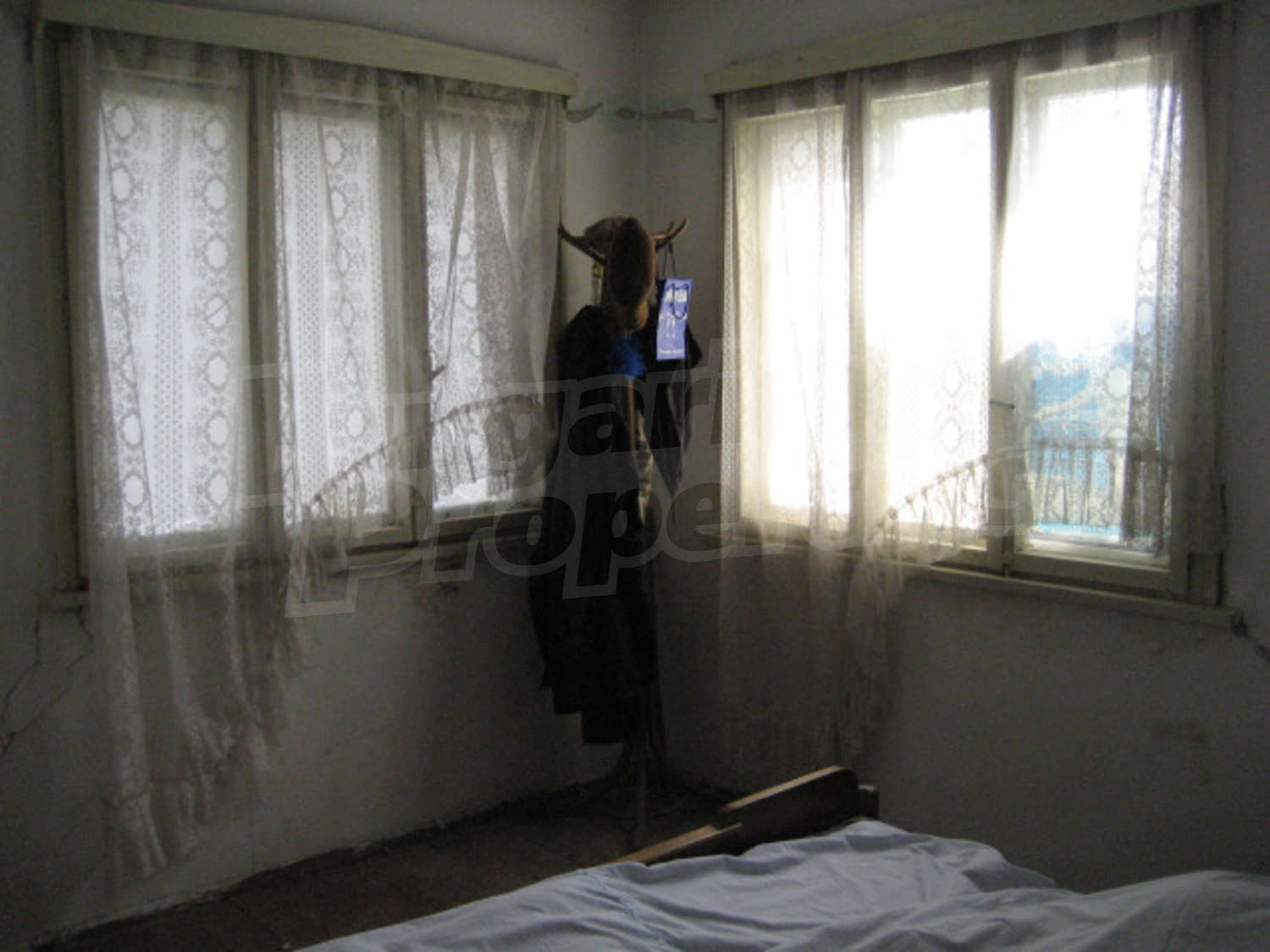 Gallery Picture 10