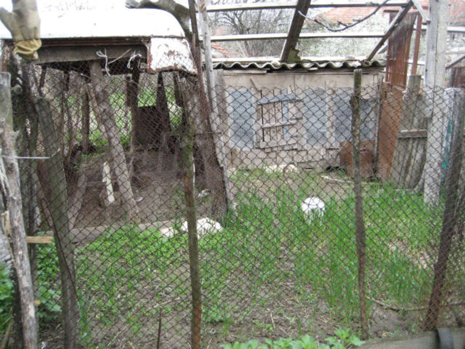 Gallery Picture 25