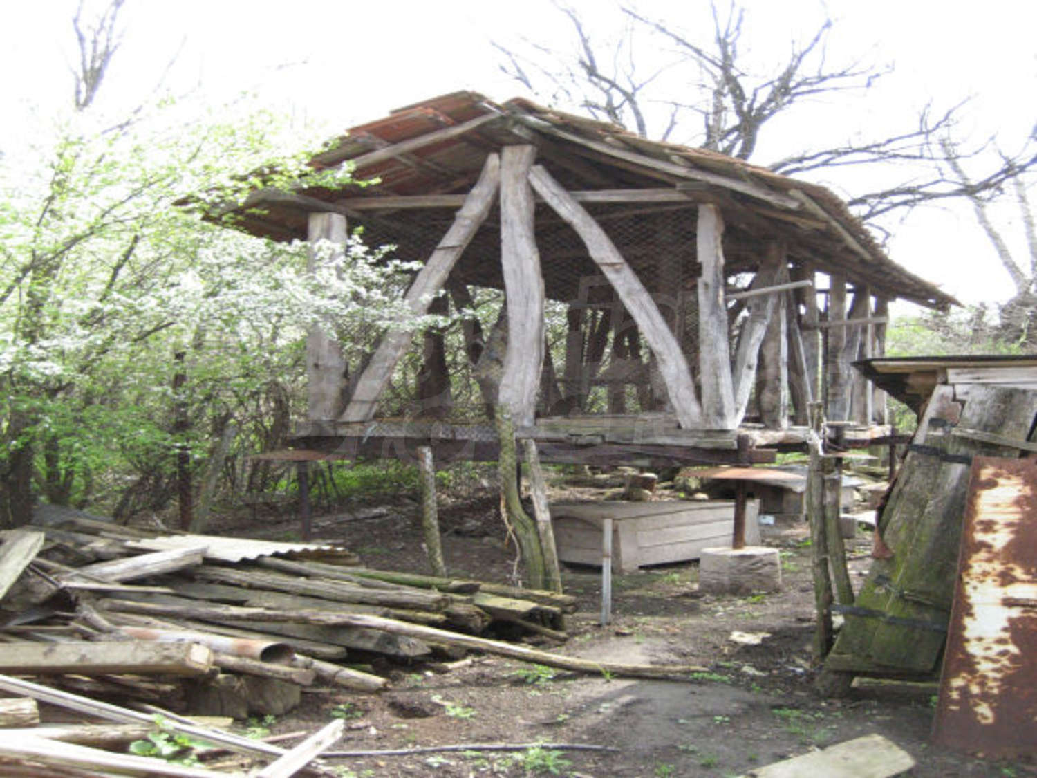 Gallery Picture 27