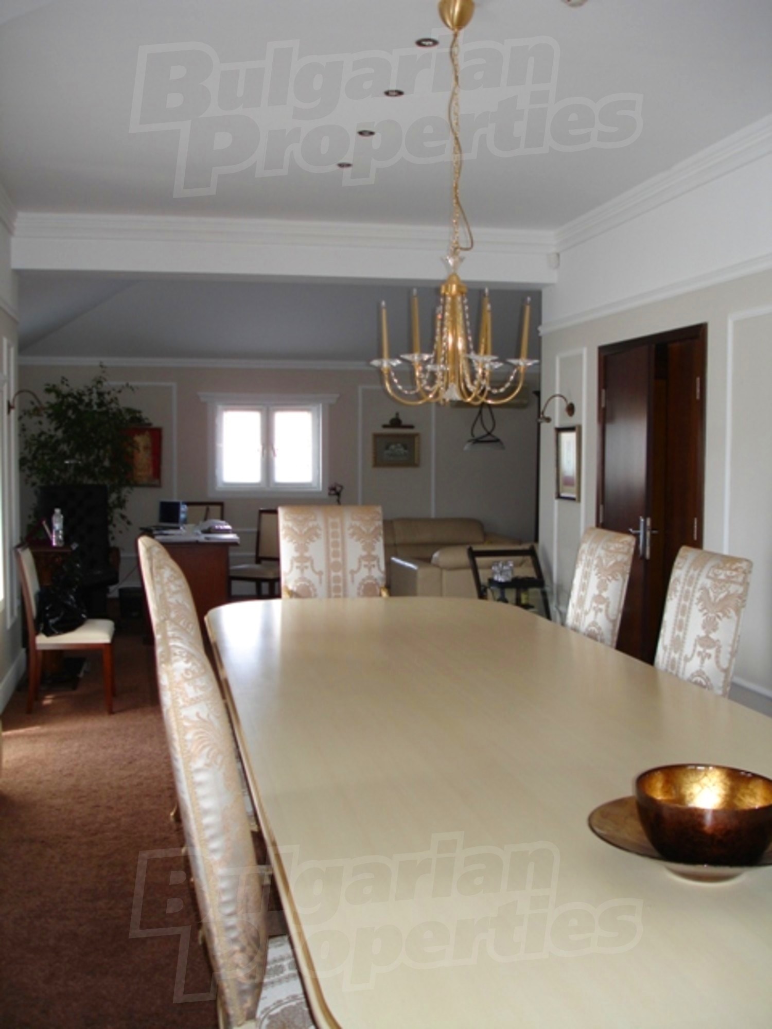 Gallery Picture 11