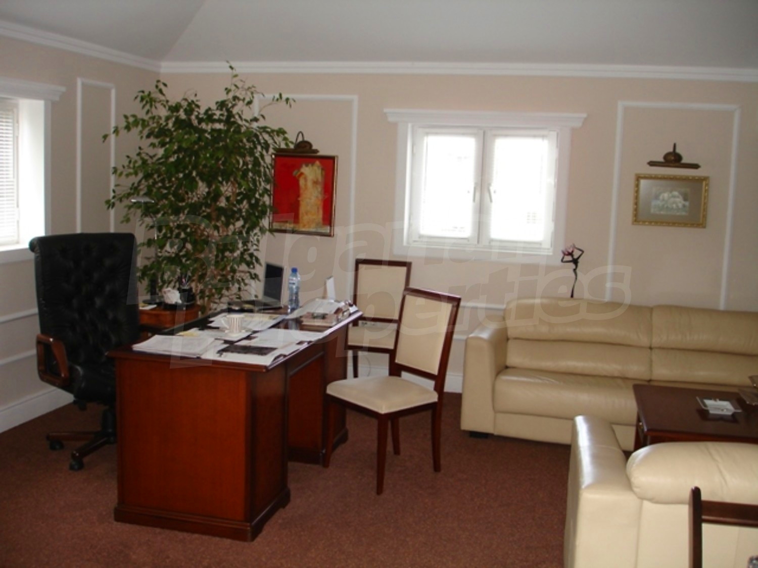 Gallery Picture 13