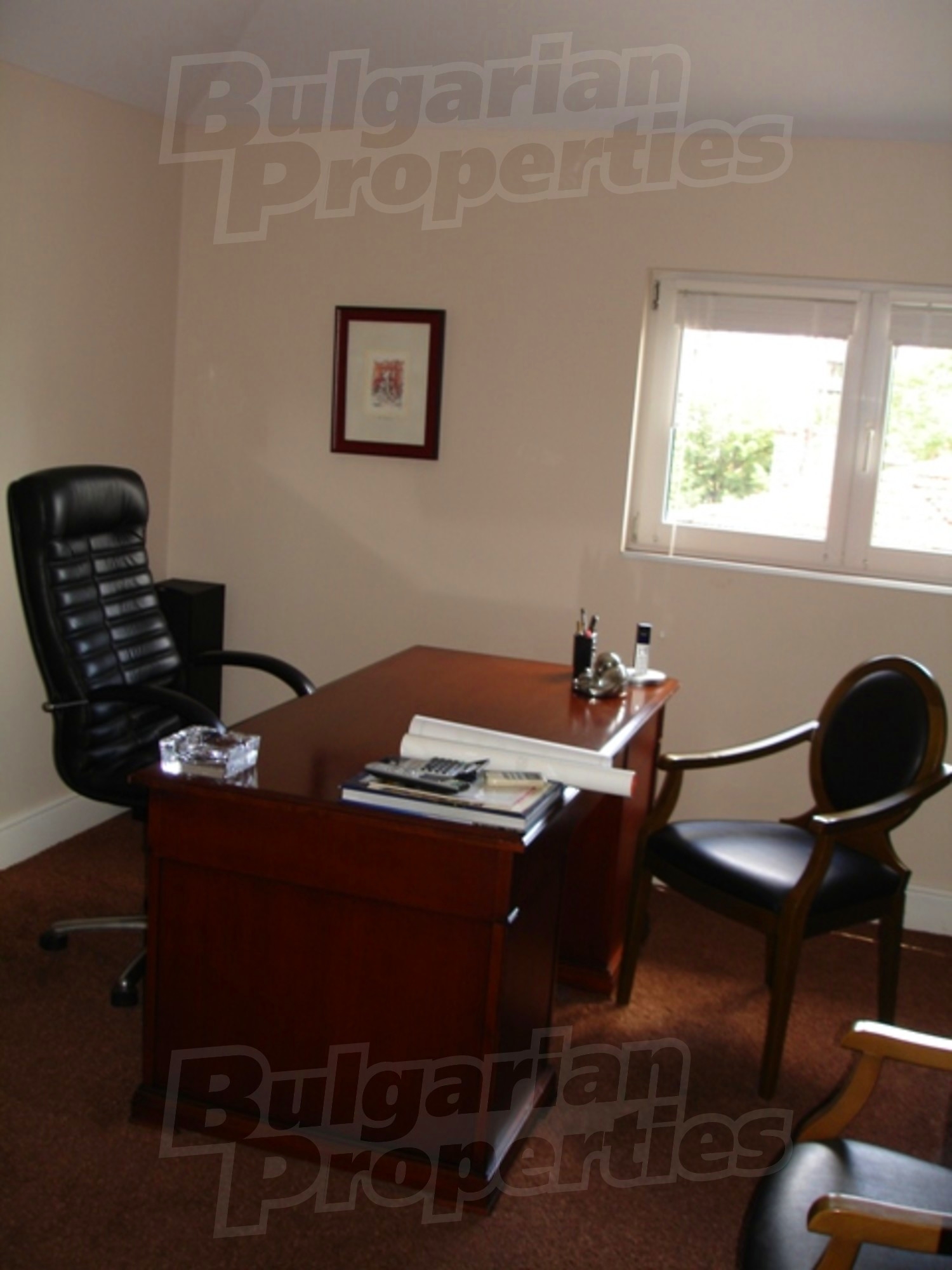 Gallery Picture 17