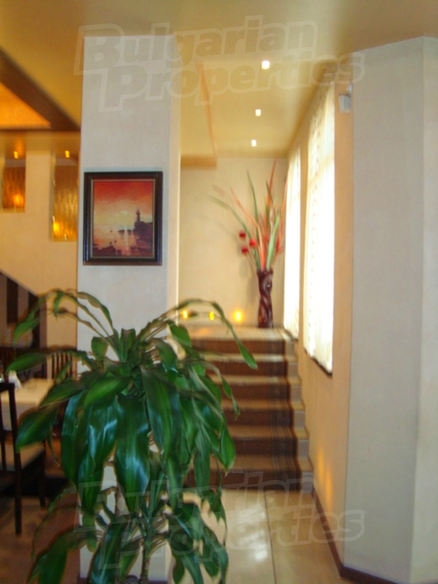 Gallery Picture 7