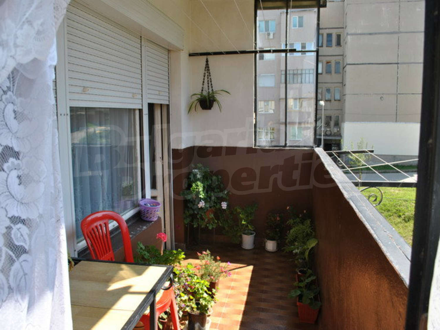 Gallery Picture 15