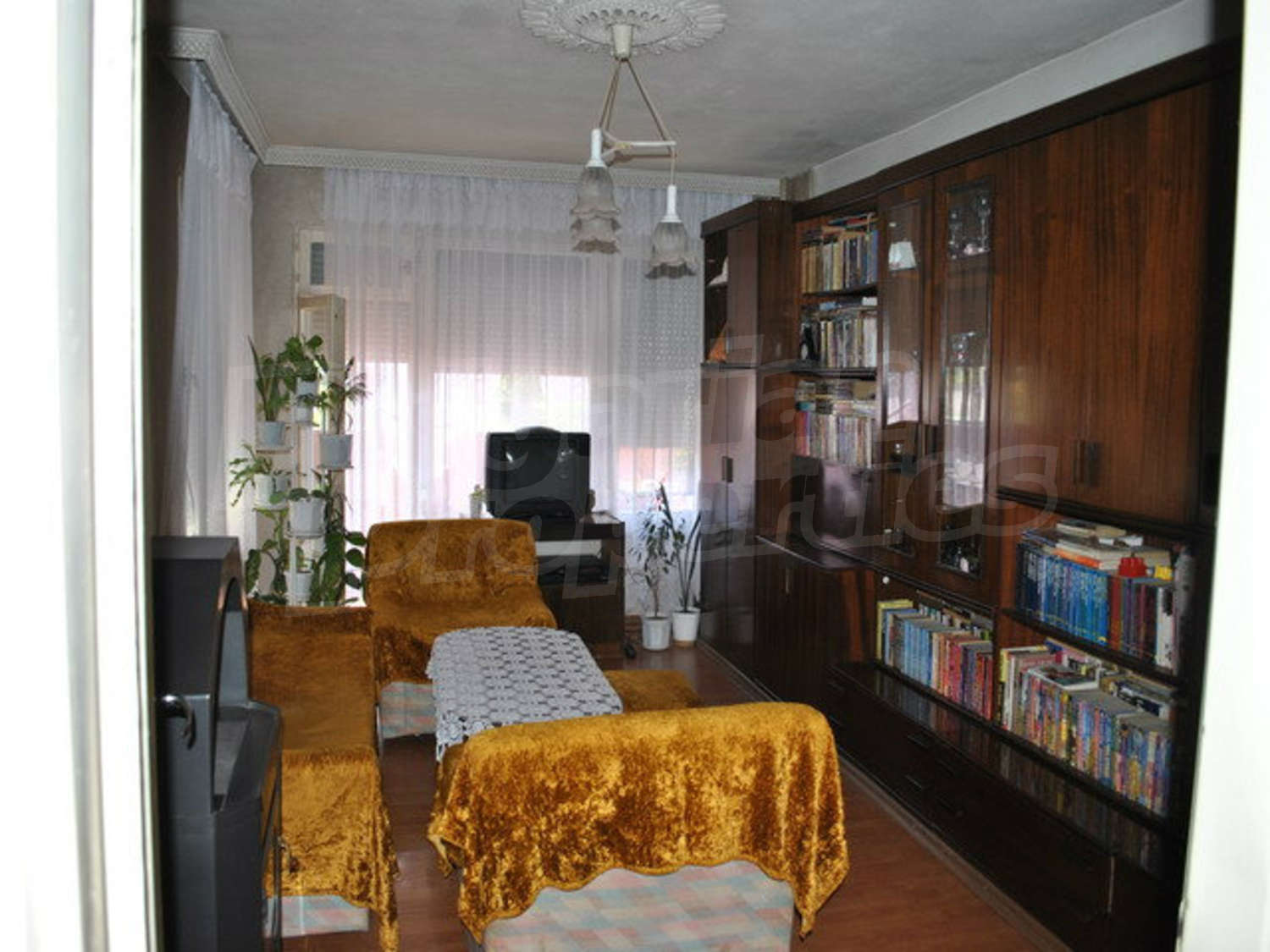 Gallery Picture 8