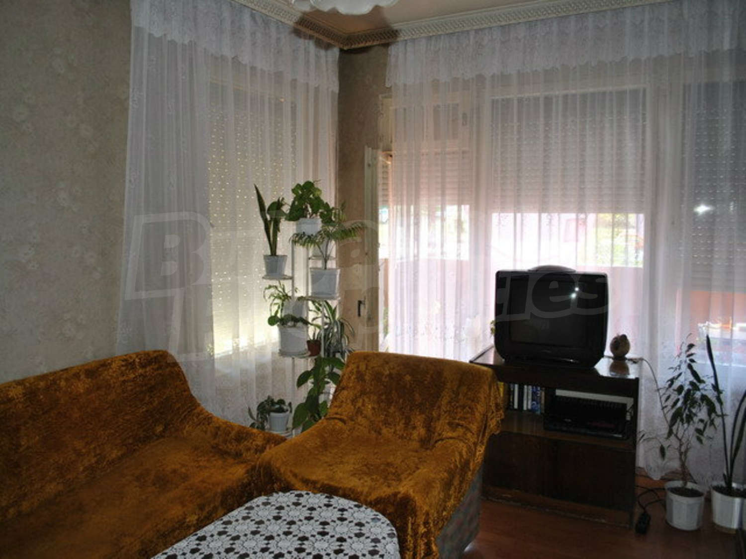 Gallery Picture 9