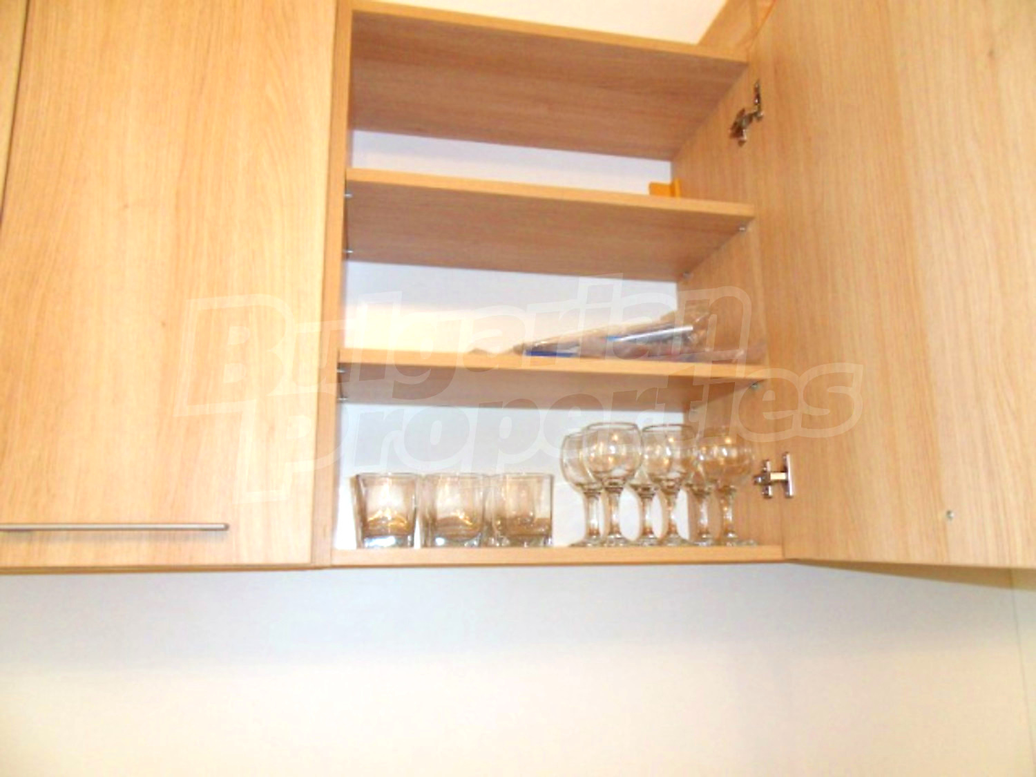Gallery Picture 13