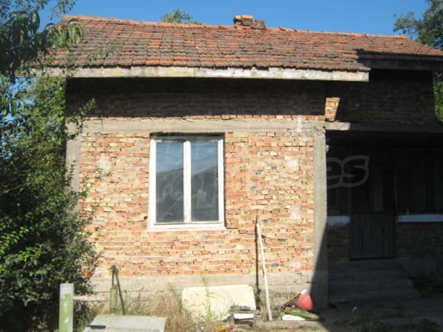 Gallery Picture 14
