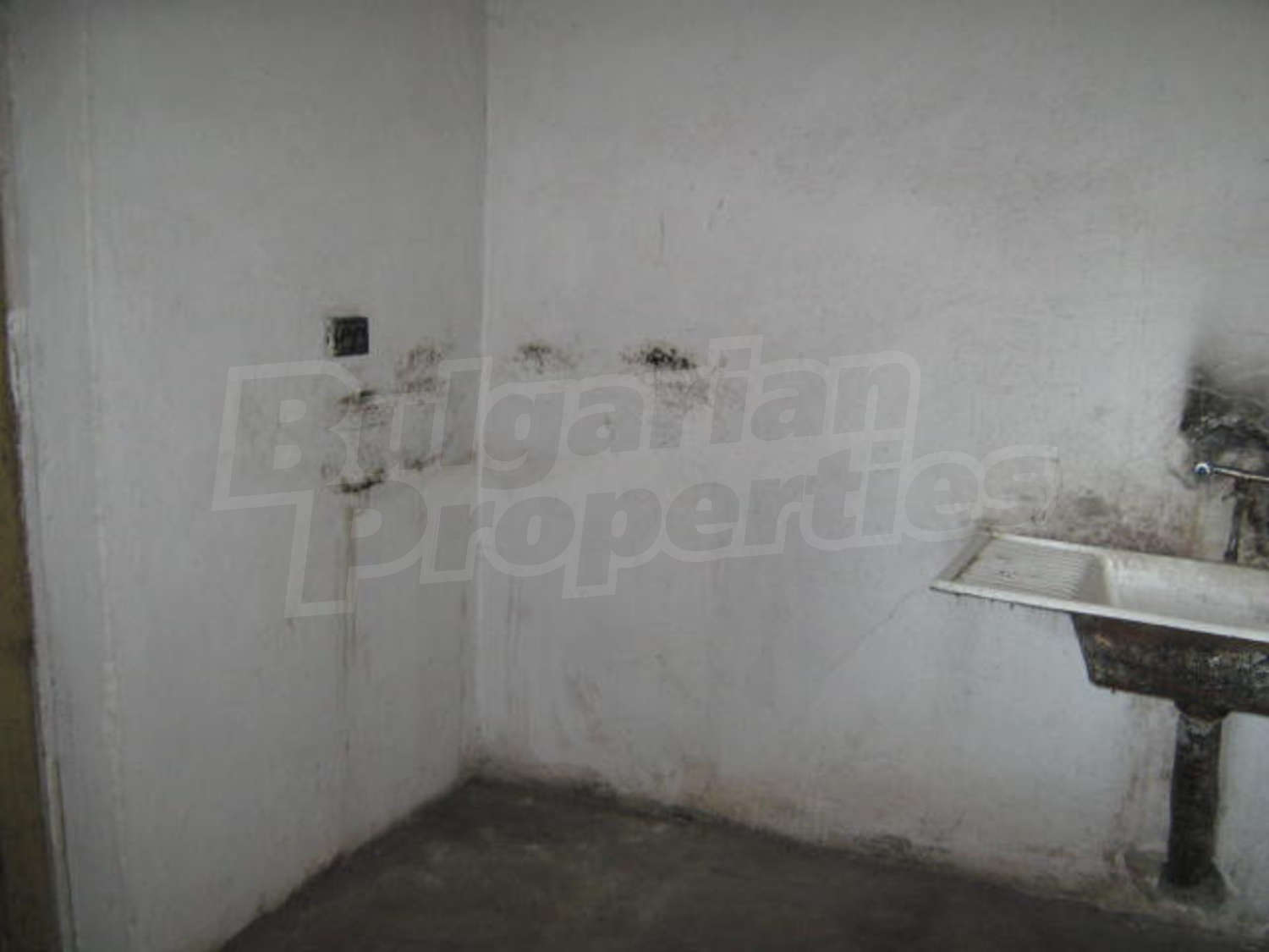 Gallery Picture 16