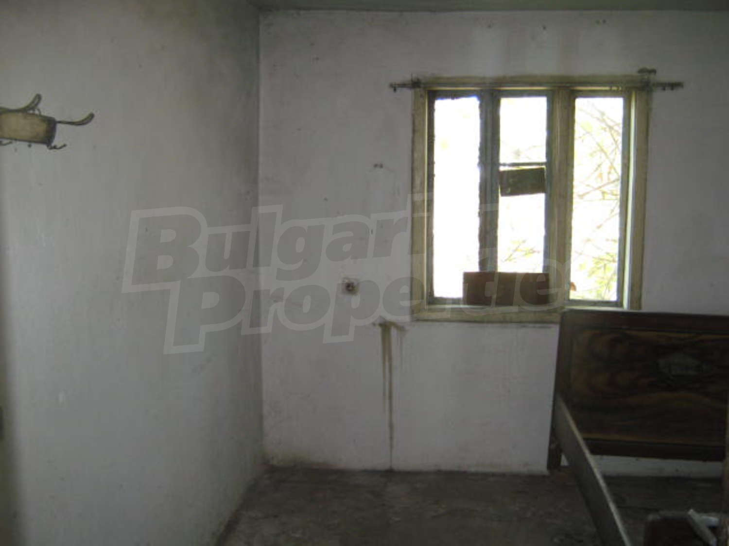 Gallery Picture 17