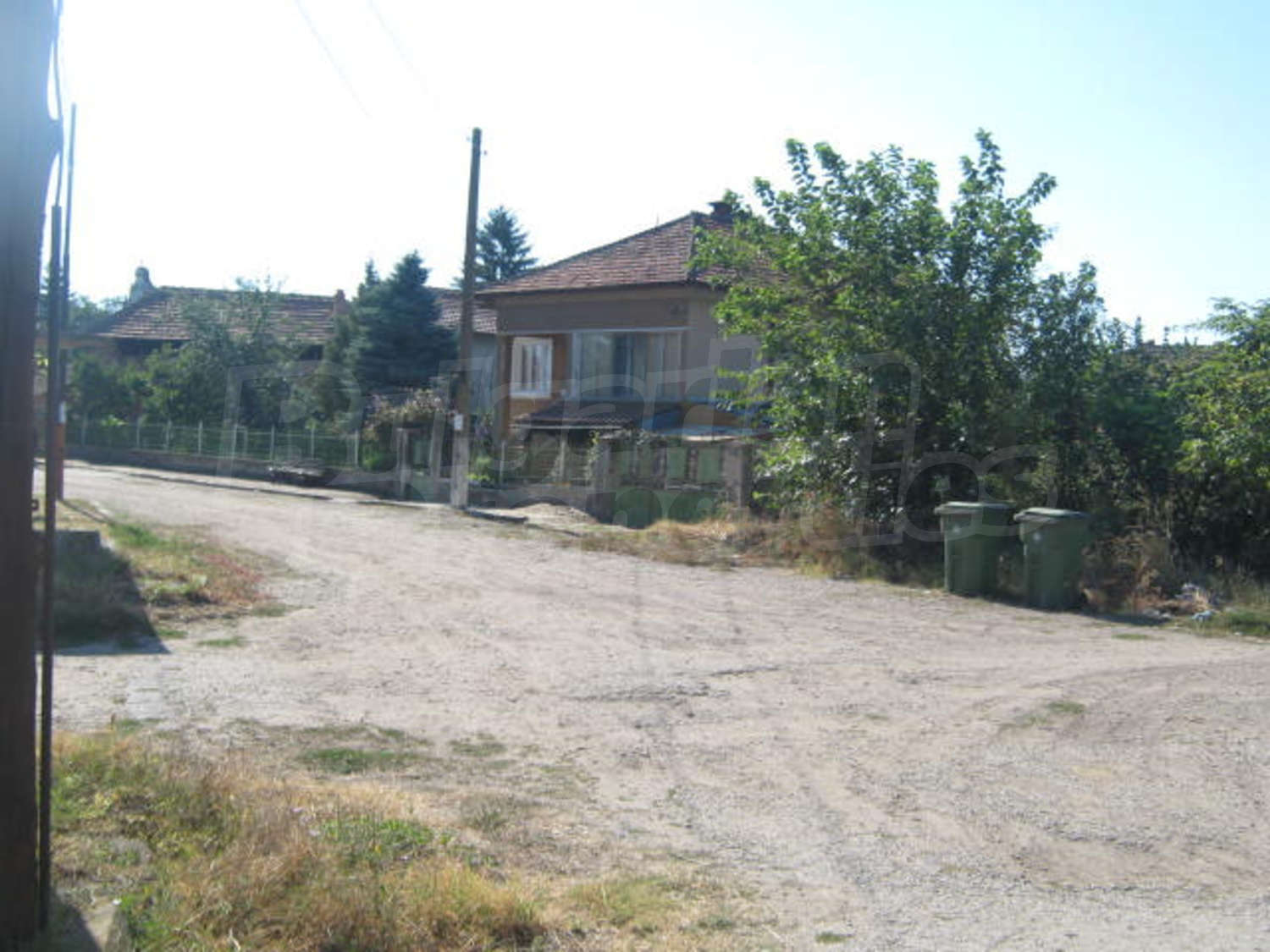 Gallery Picture 19