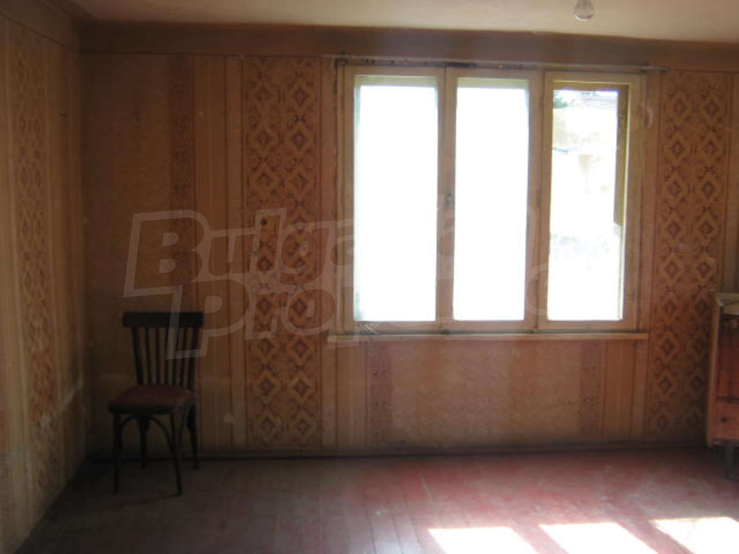 Gallery Picture 6