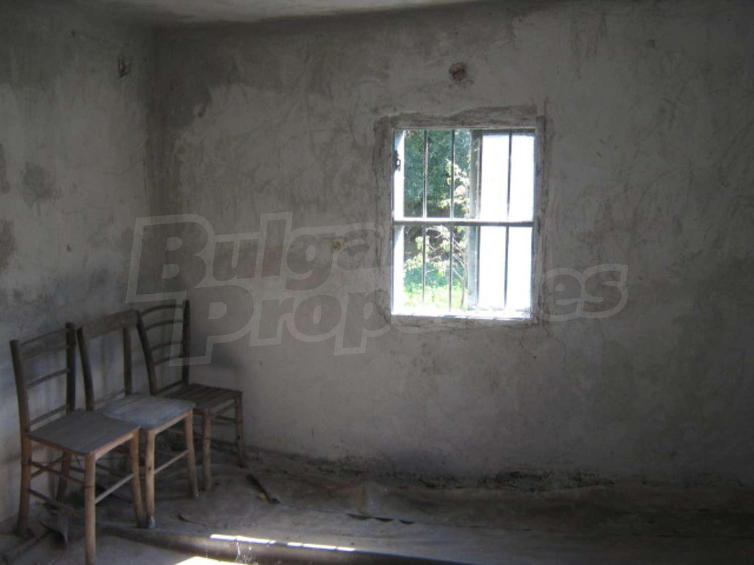 Gallery Picture 5