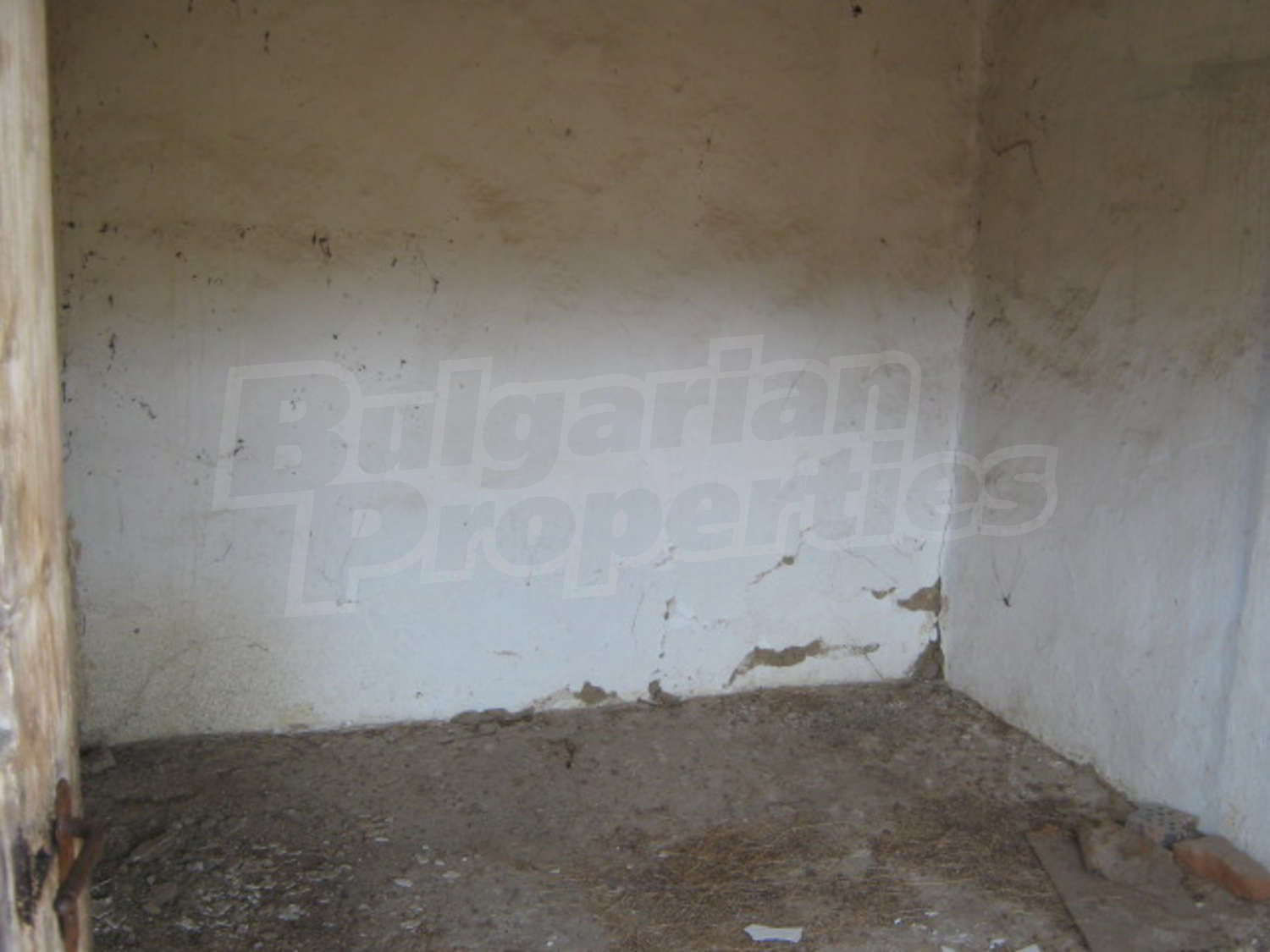 Gallery Picture 4