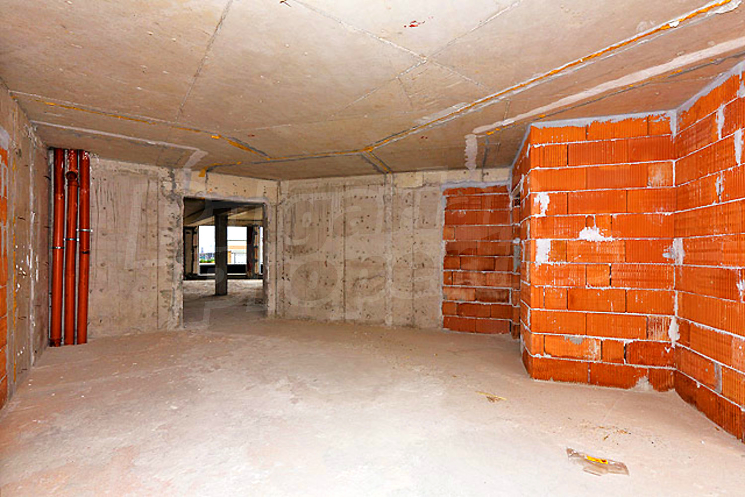 Gallery Picture 12