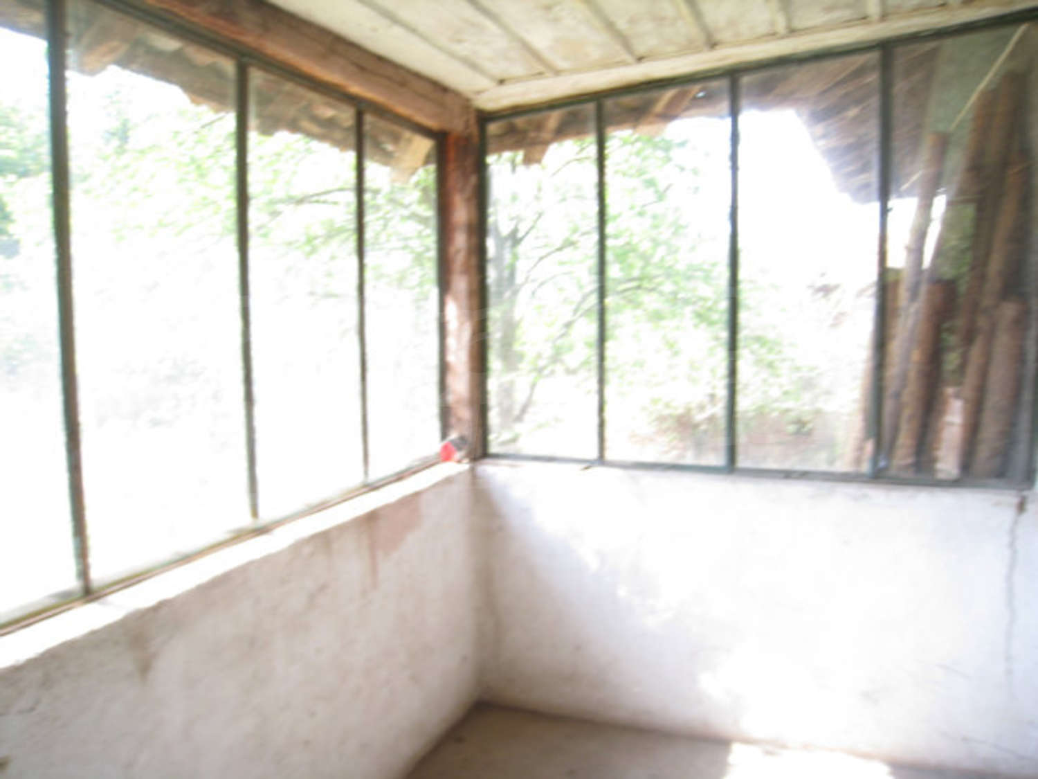 Gallery Picture 11