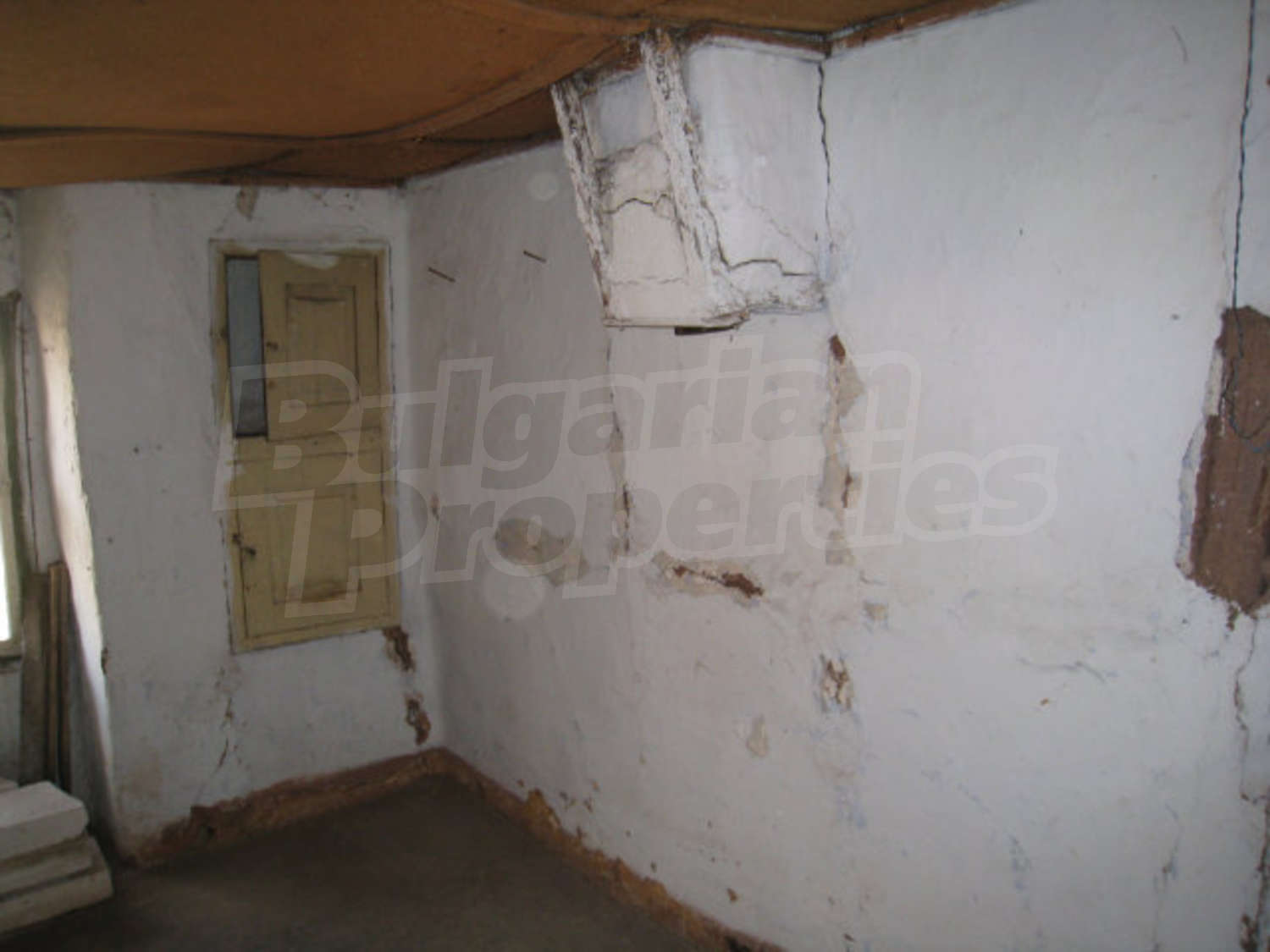 Gallery Picture 13