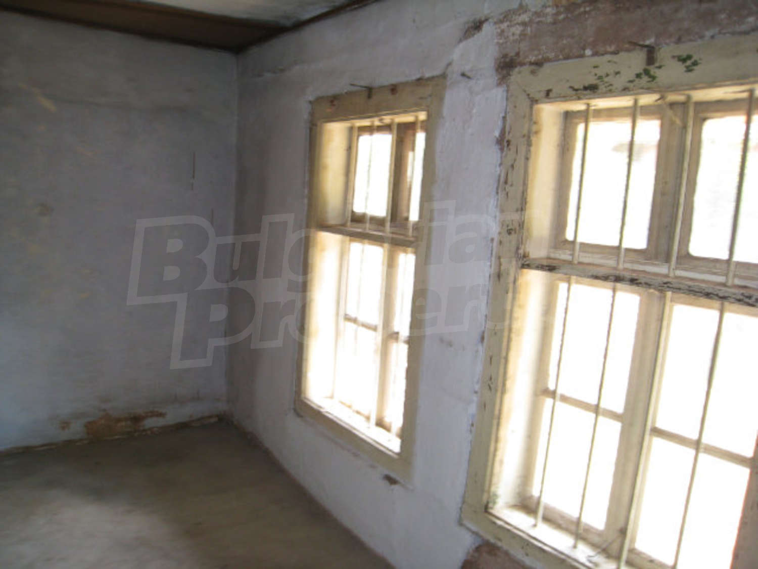 Gallery Picture 15