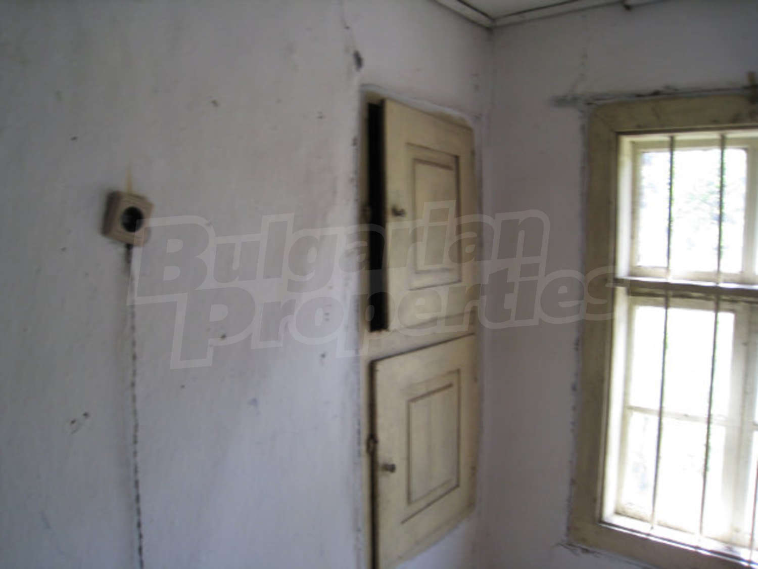 Gallery Picture 21