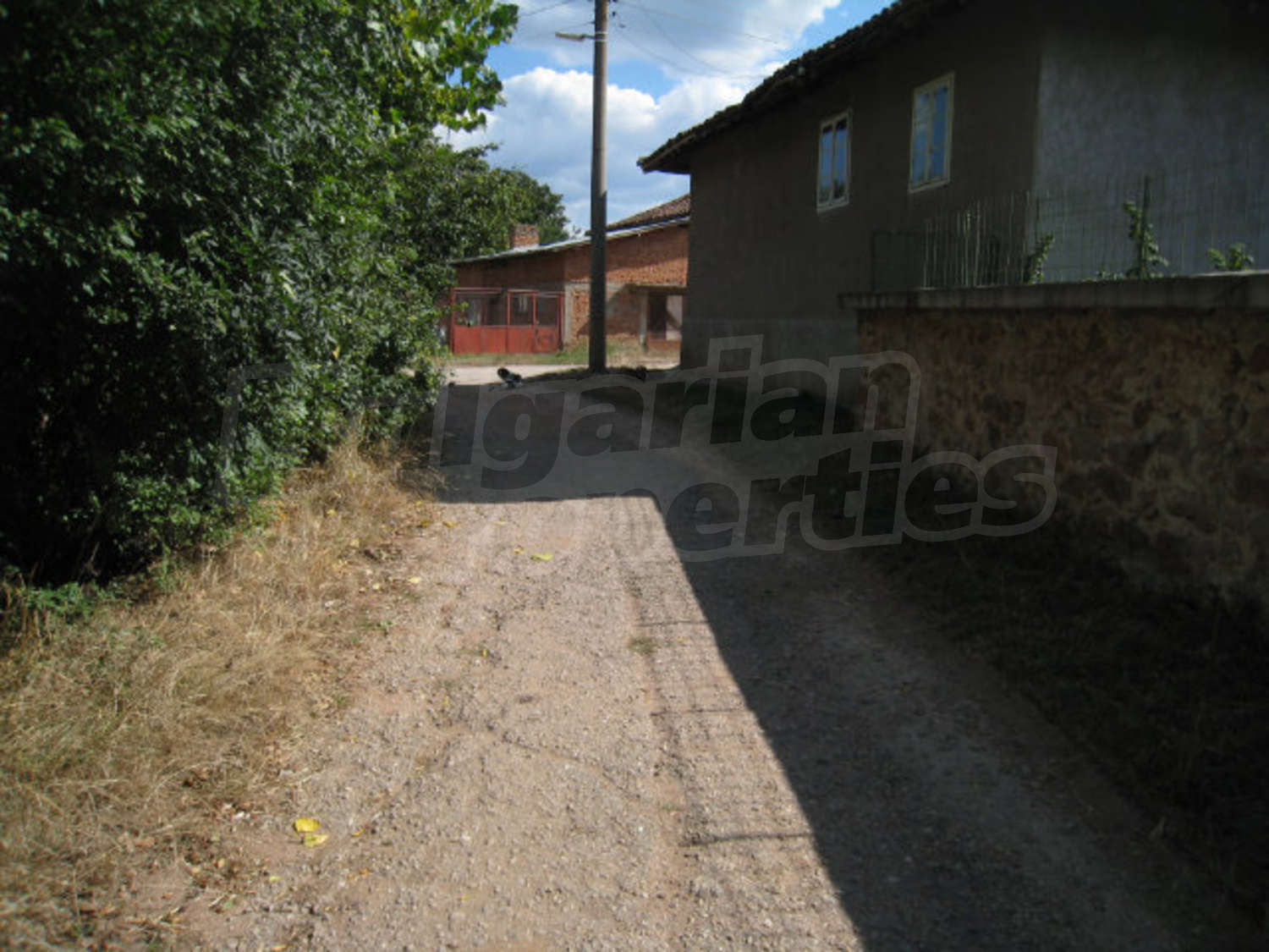 Gallery Picture 33