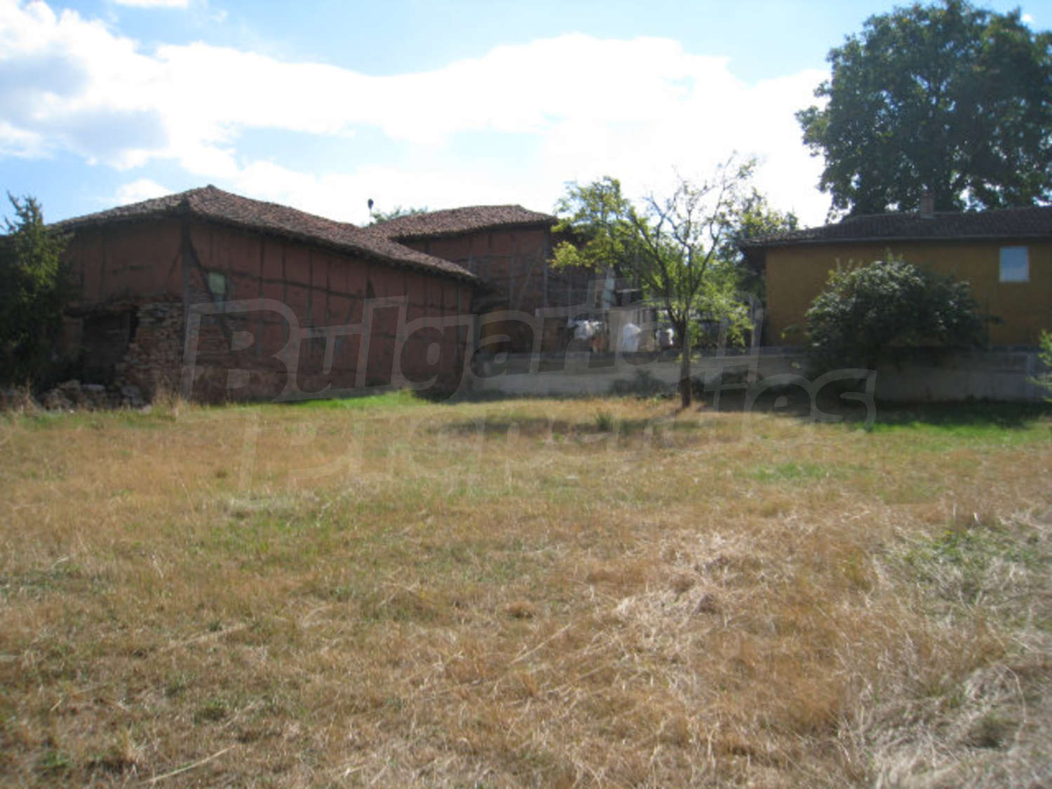 Gallery Picture 5