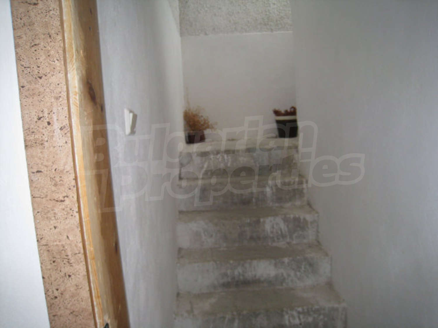 Gallery Picture 18