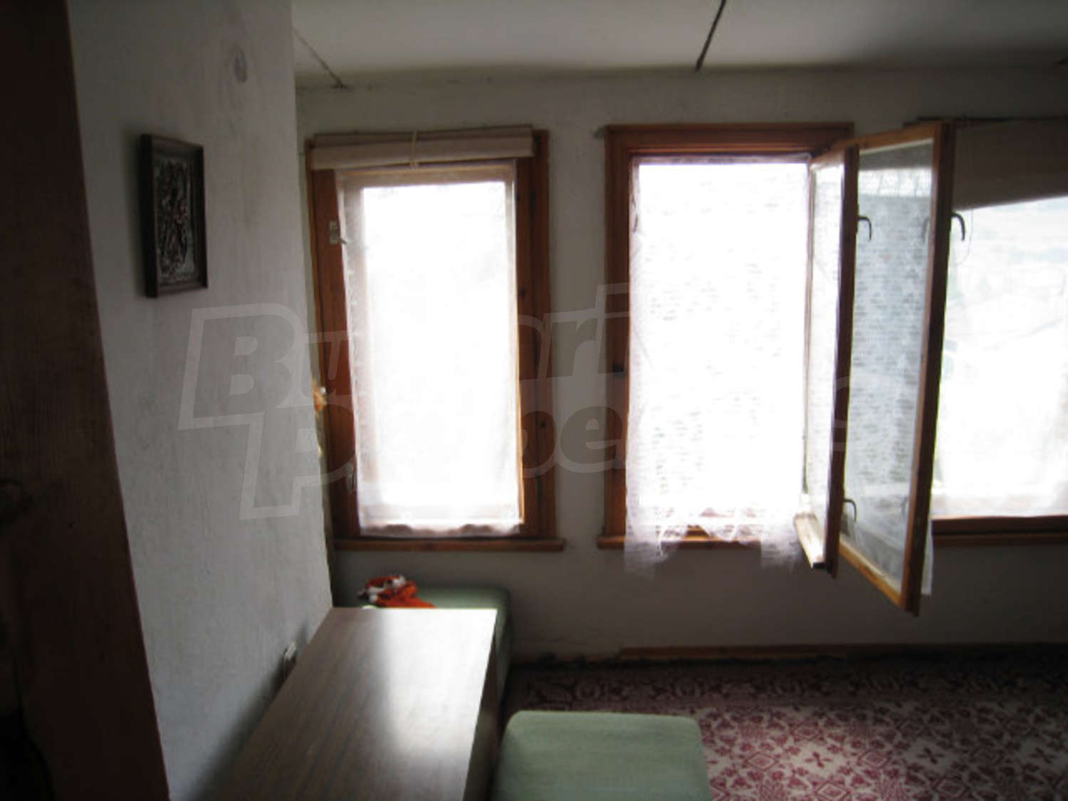 Gallery Picture 24