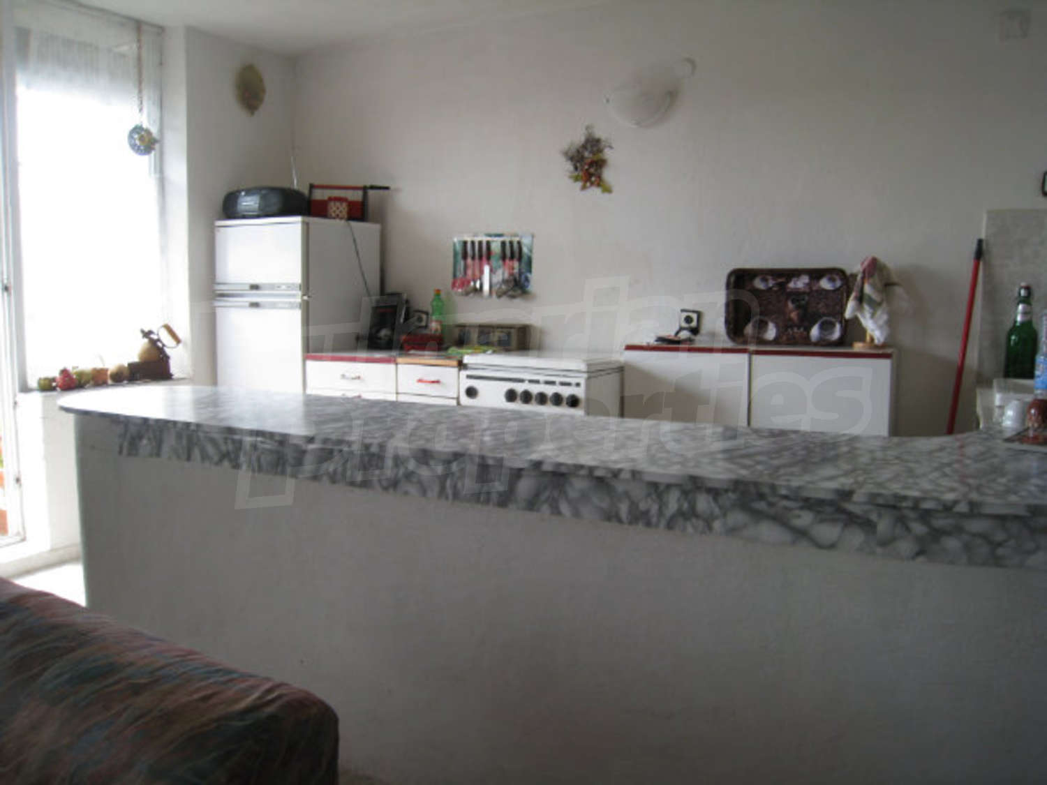 Gallery Picture 37