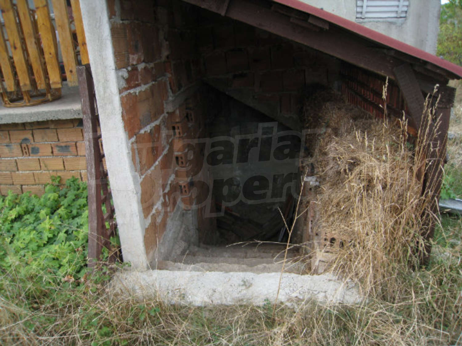 Gallery Picture 5
