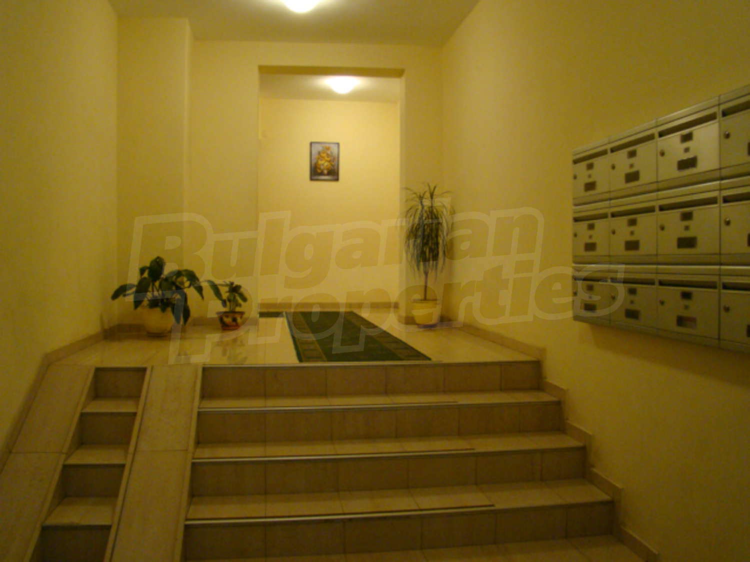 Gallery Picture 3