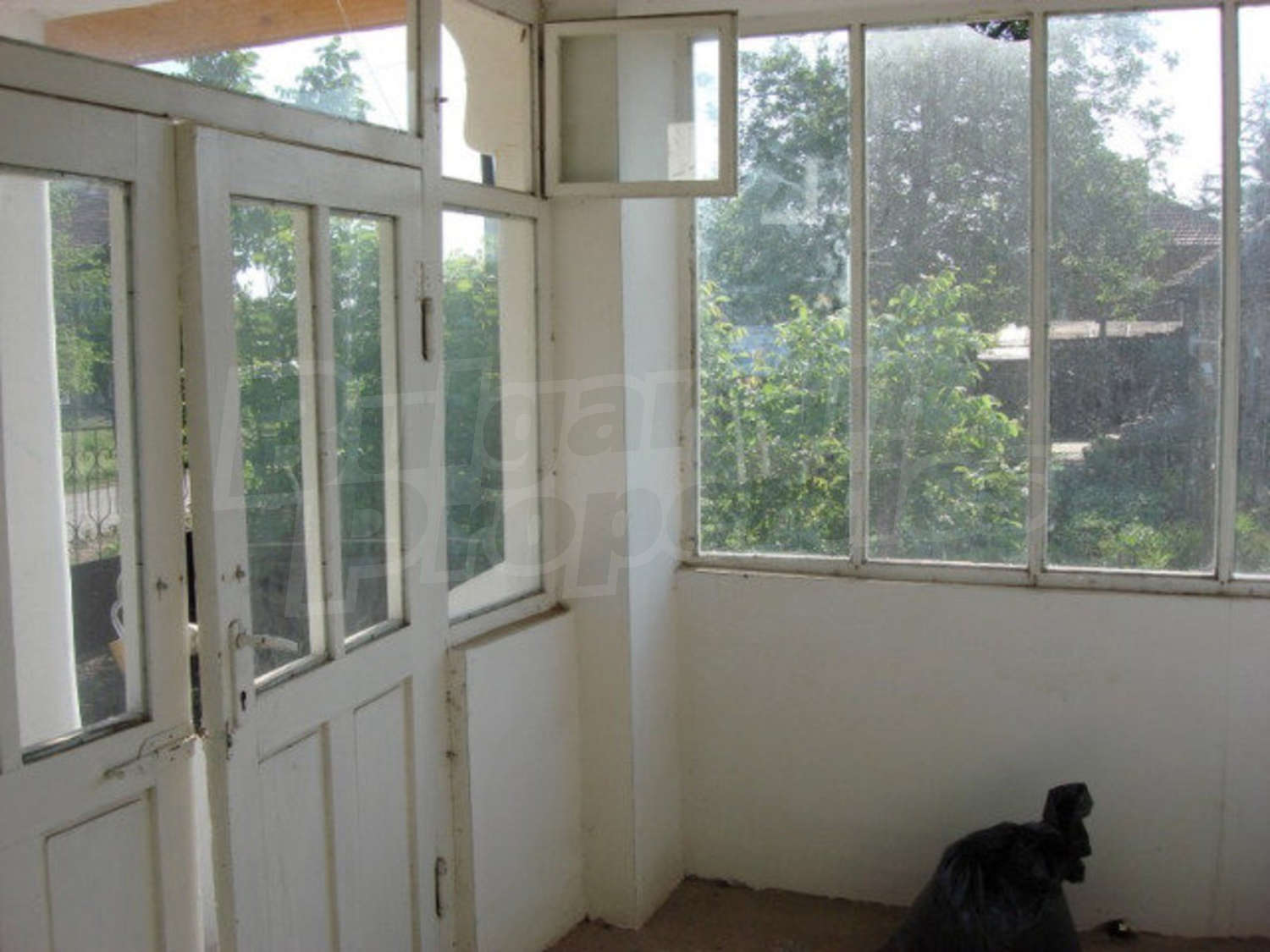 Gallery Picture 10