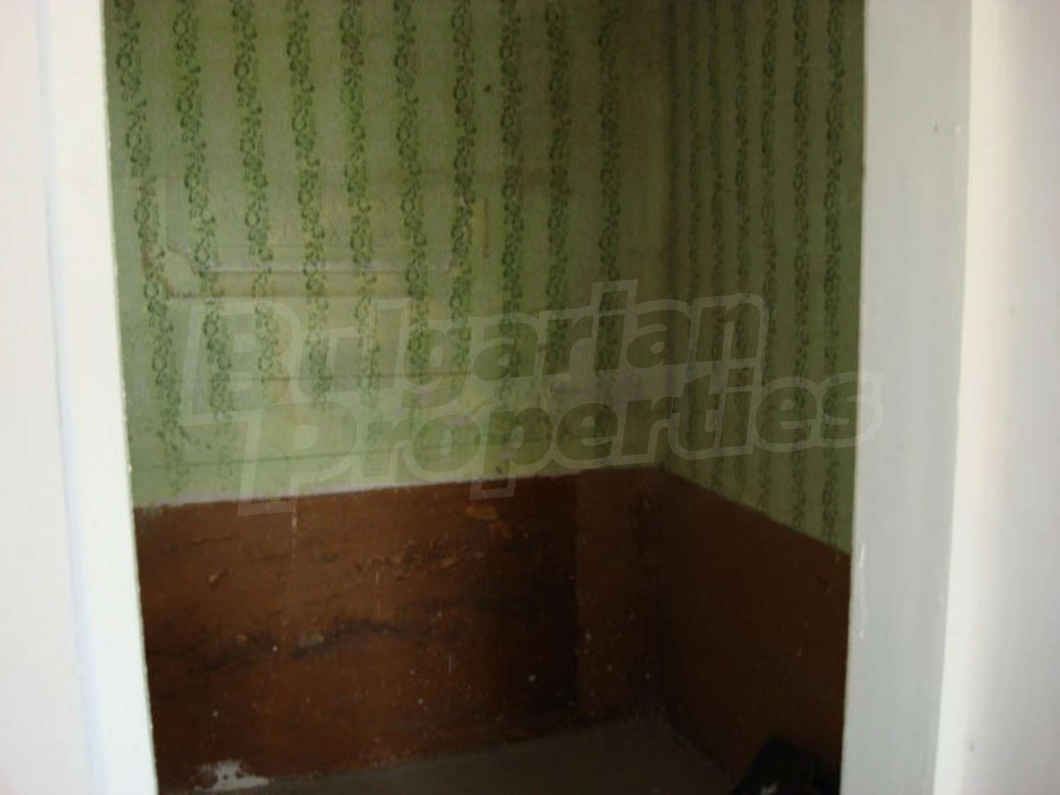 Gallery Picture 12