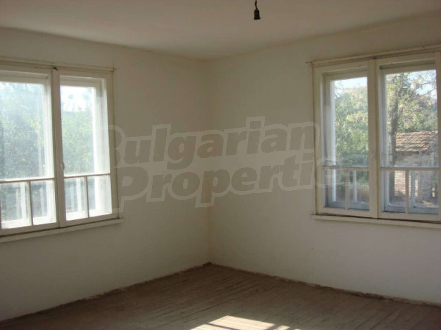 Gallery Picture 15