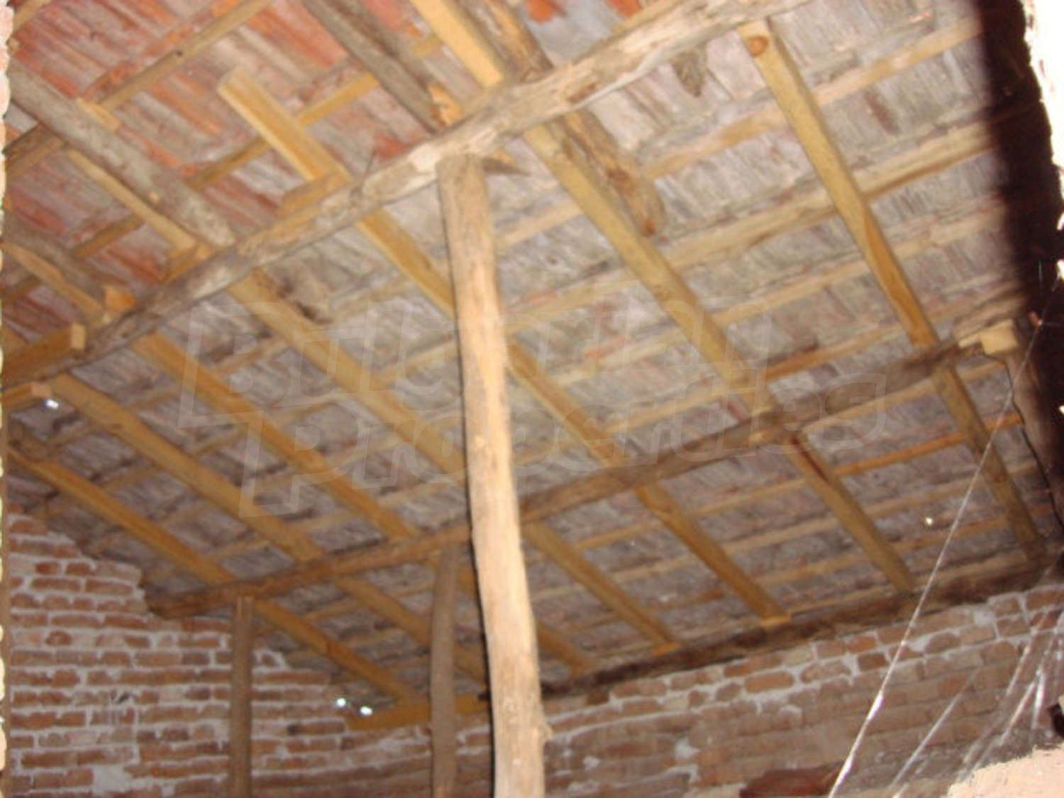 Gallery Picture 16