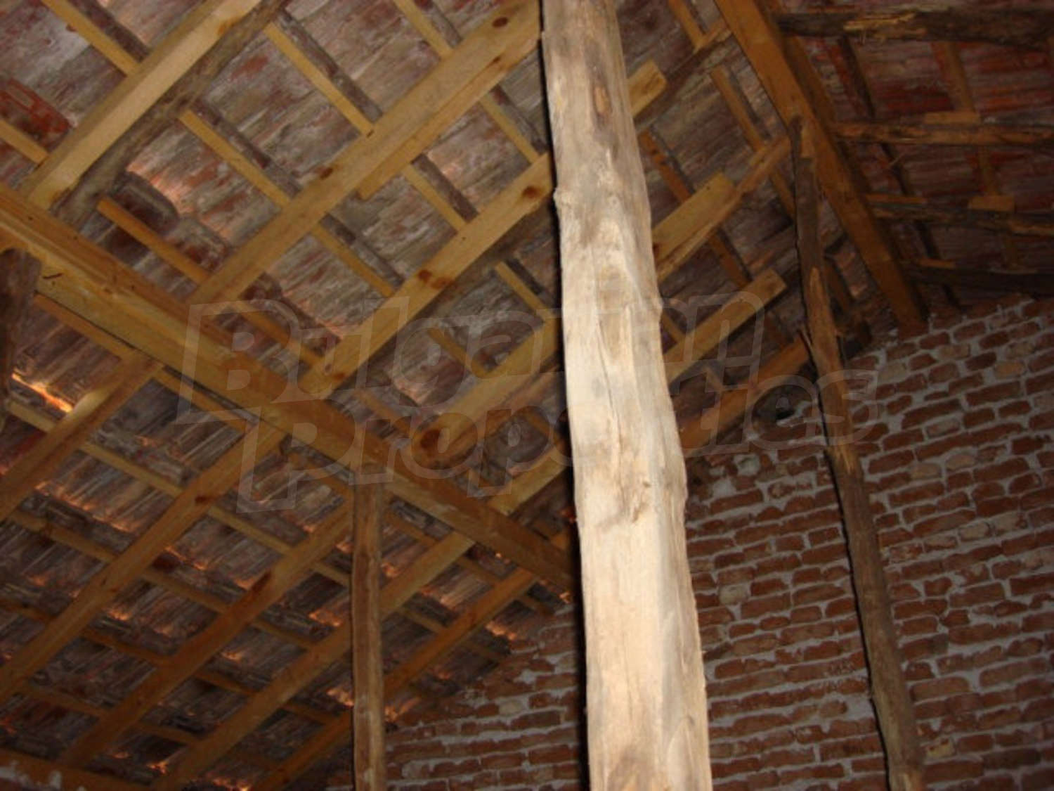 Gallery Picture 17
