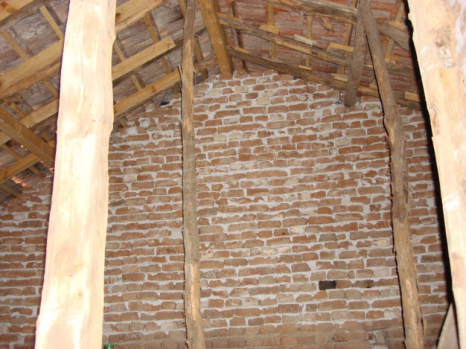 Gallery Picture 18