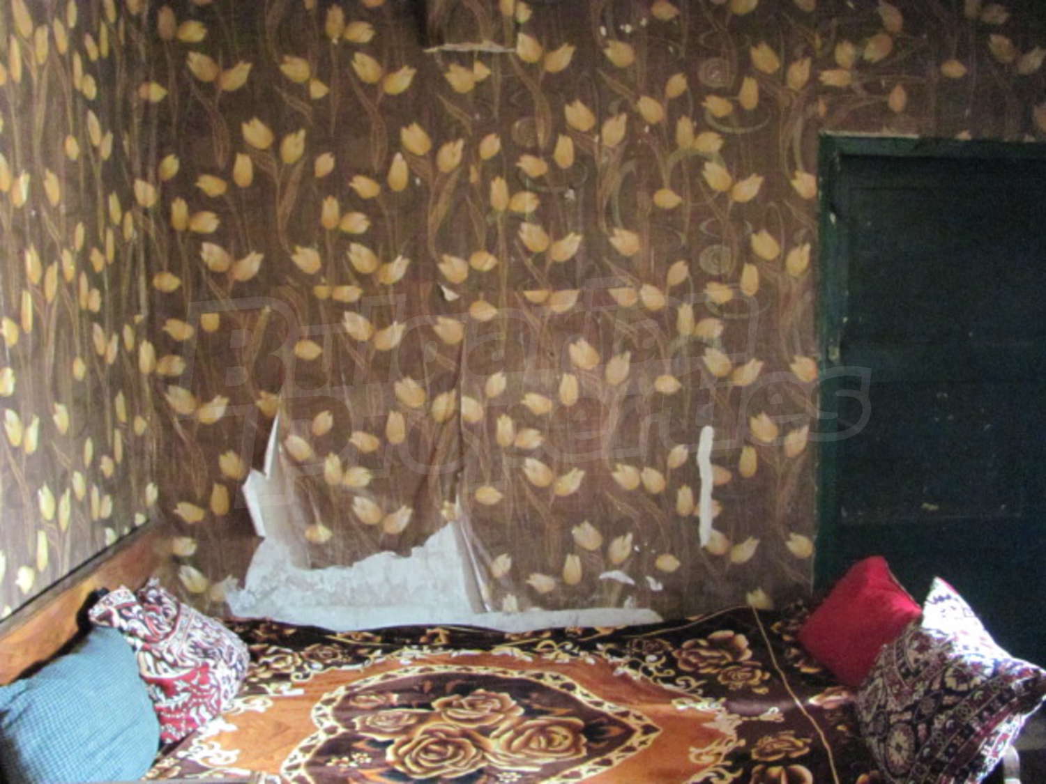 Gallery Picture 7