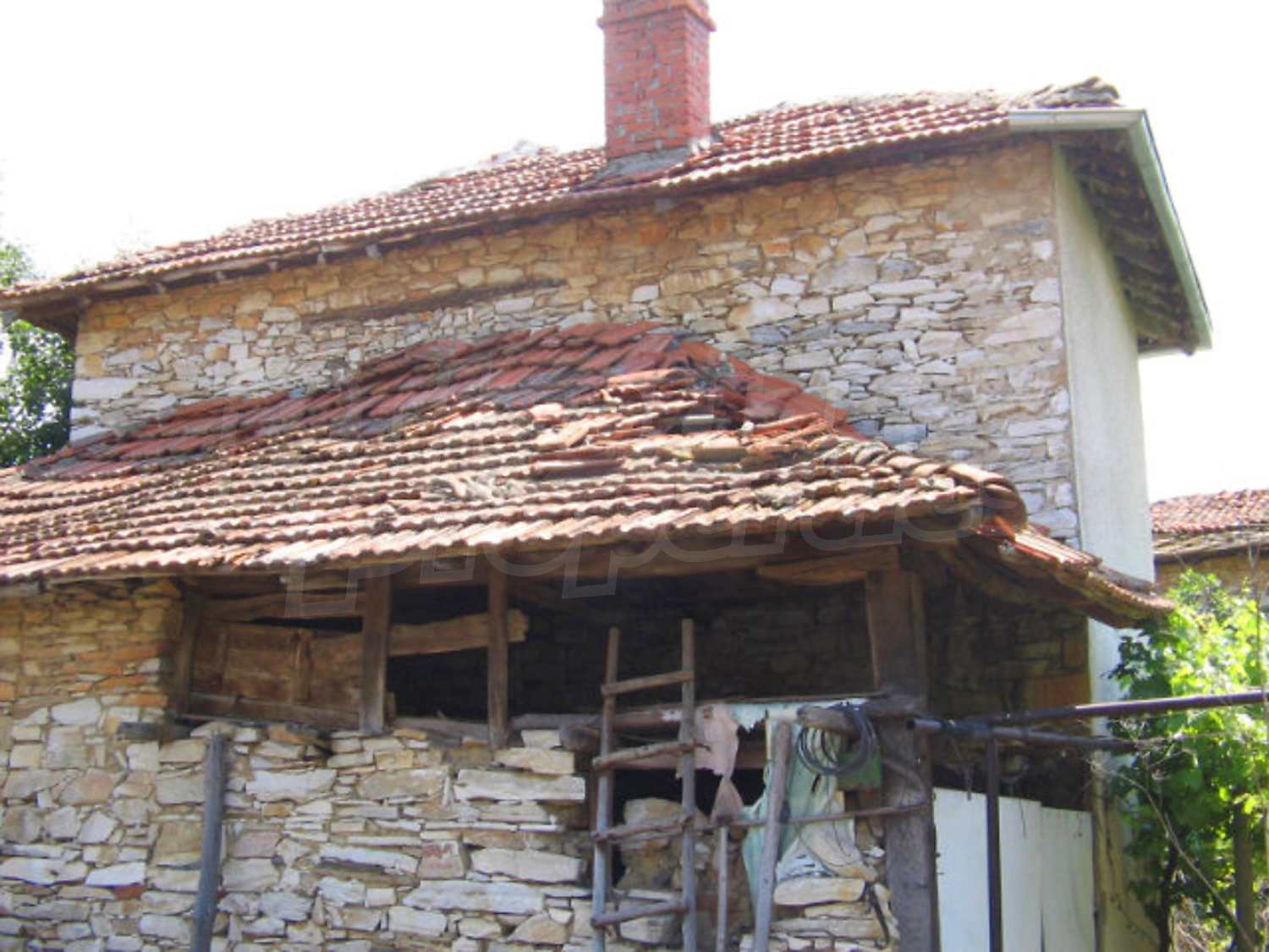 Gallery Picture 10