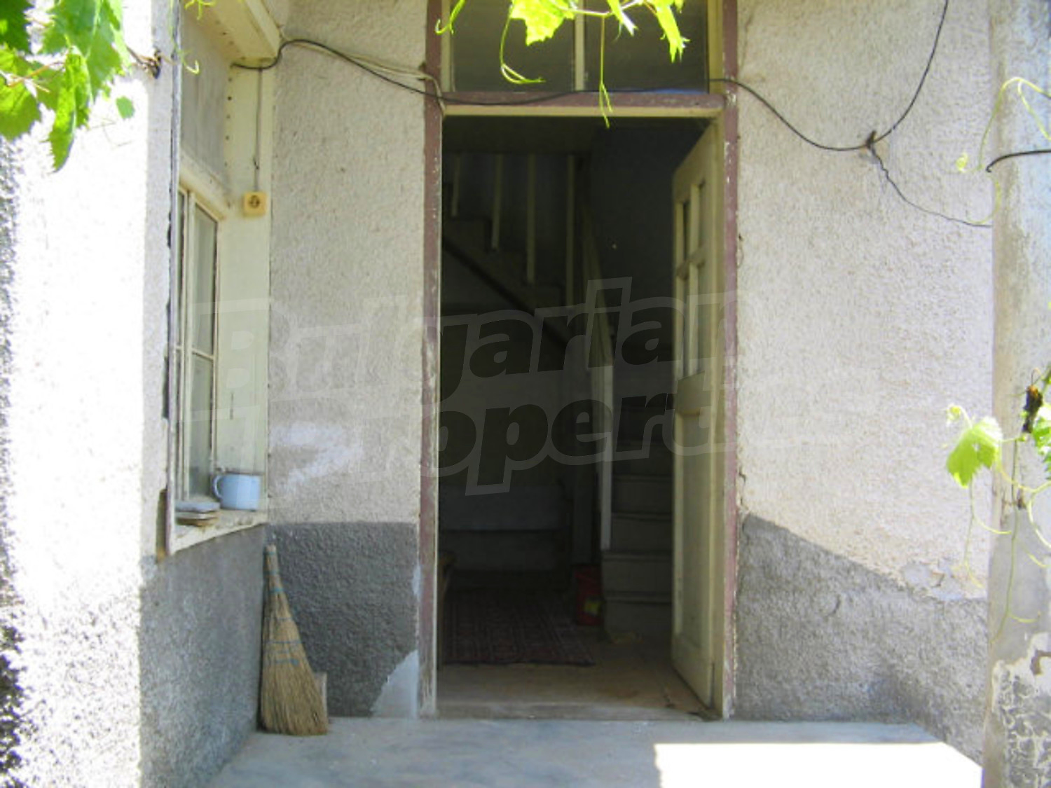 Gallery Picture 16