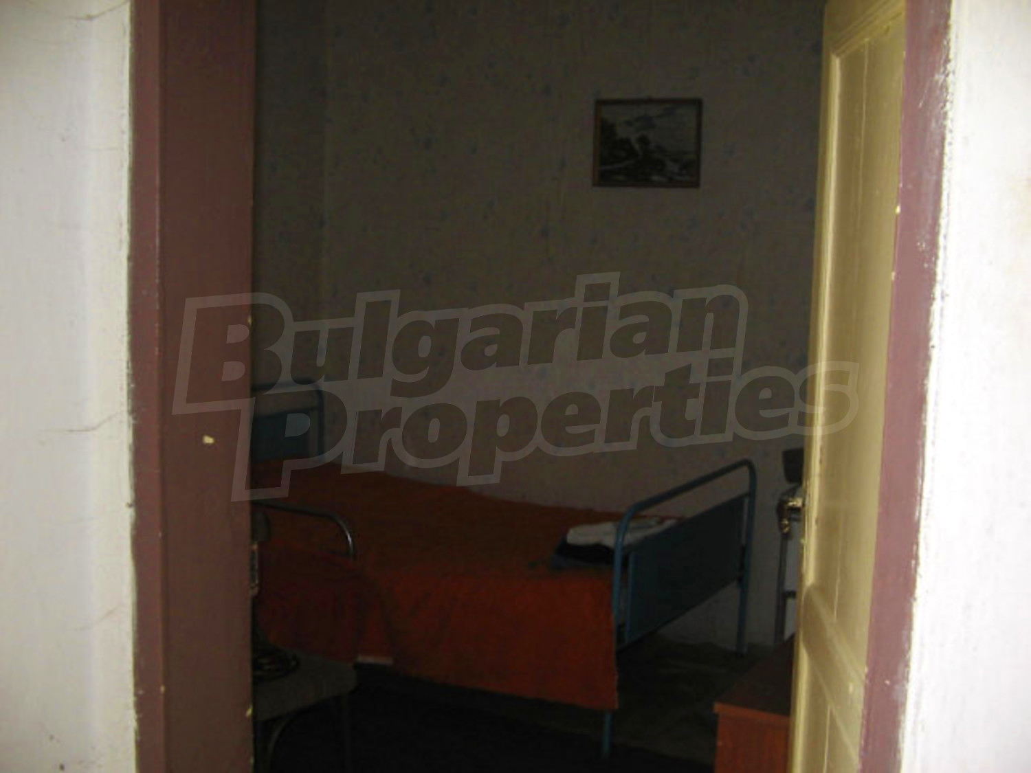 Gallery Picture 19