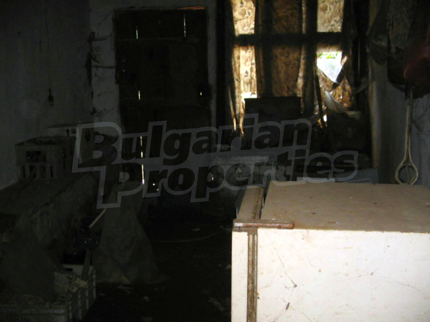Gallery Picture 24