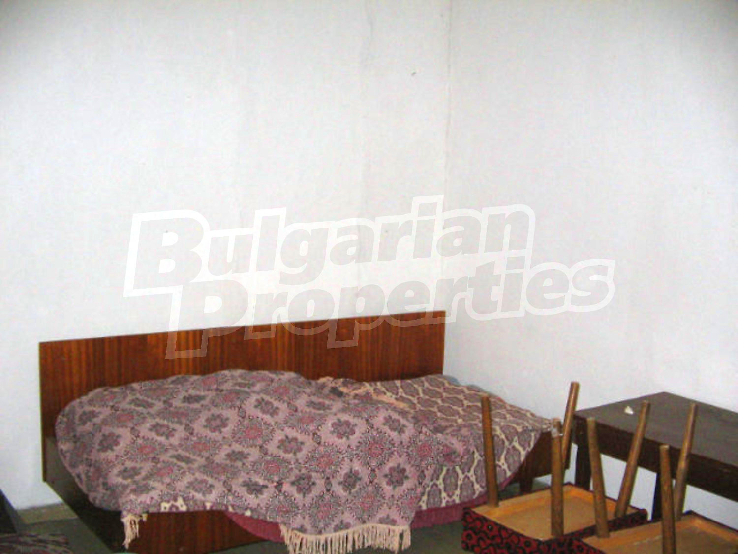 Gallery Picture 38