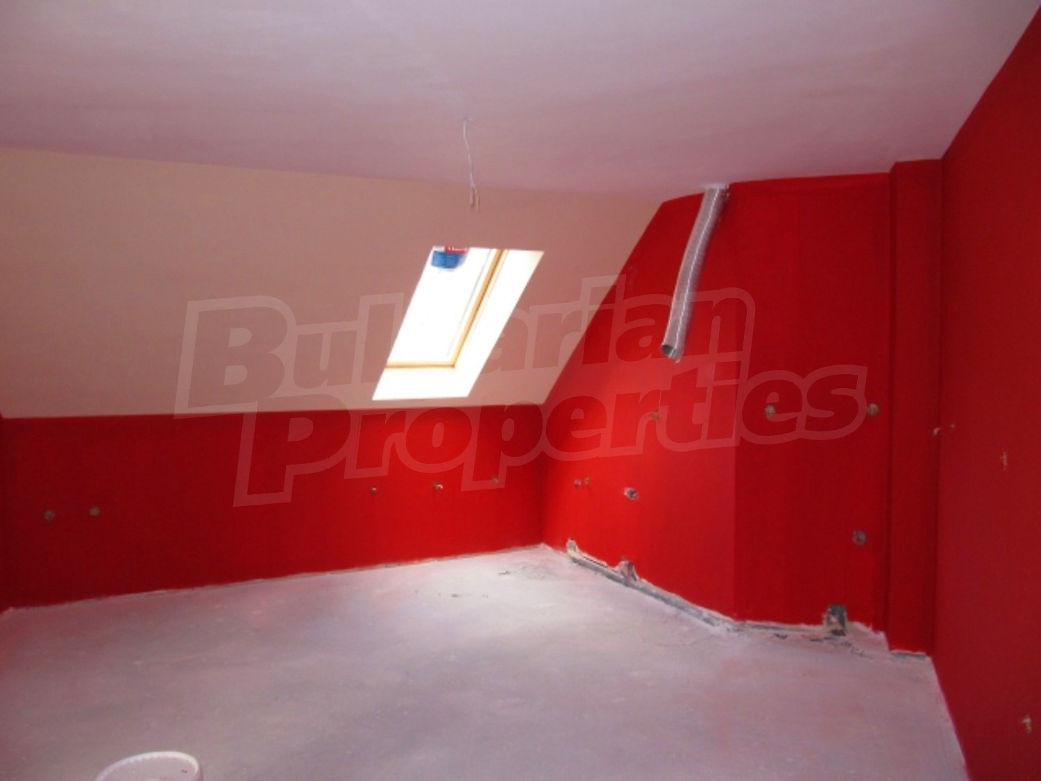 Gallery Picture 19