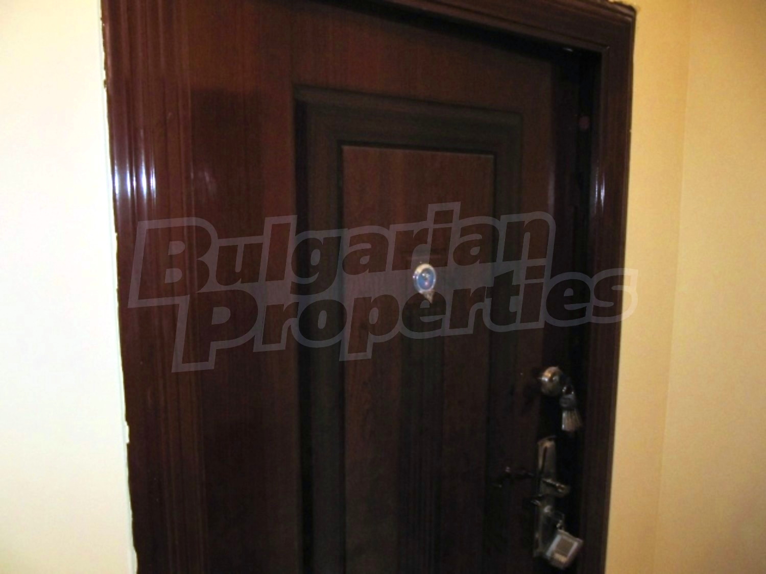 Gallery Picture 4